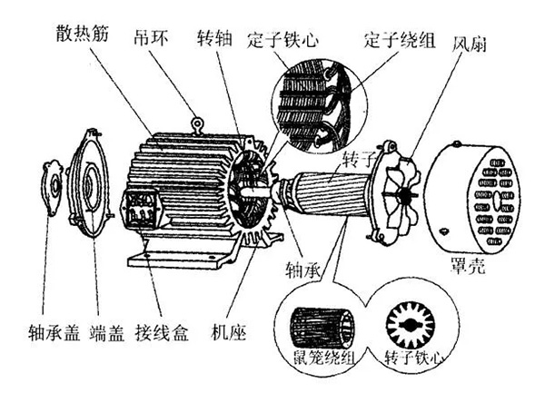 三相異步電動機的六種分類方法及具體分類。